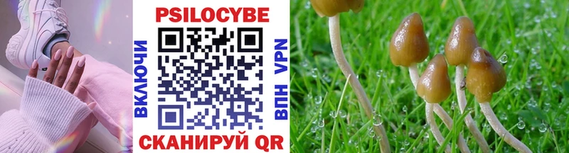 цены наркотик  Тара  Галлюциногенные грибы Cubensis 